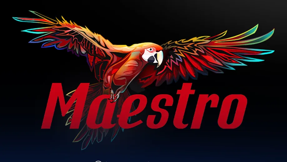 Maestro banner